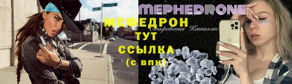 сатива Новозыбков